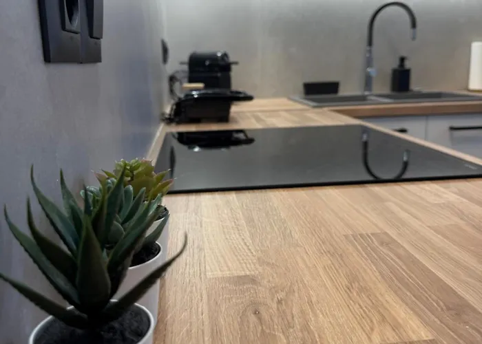 ゲストハウス The Yard Place ザハロ